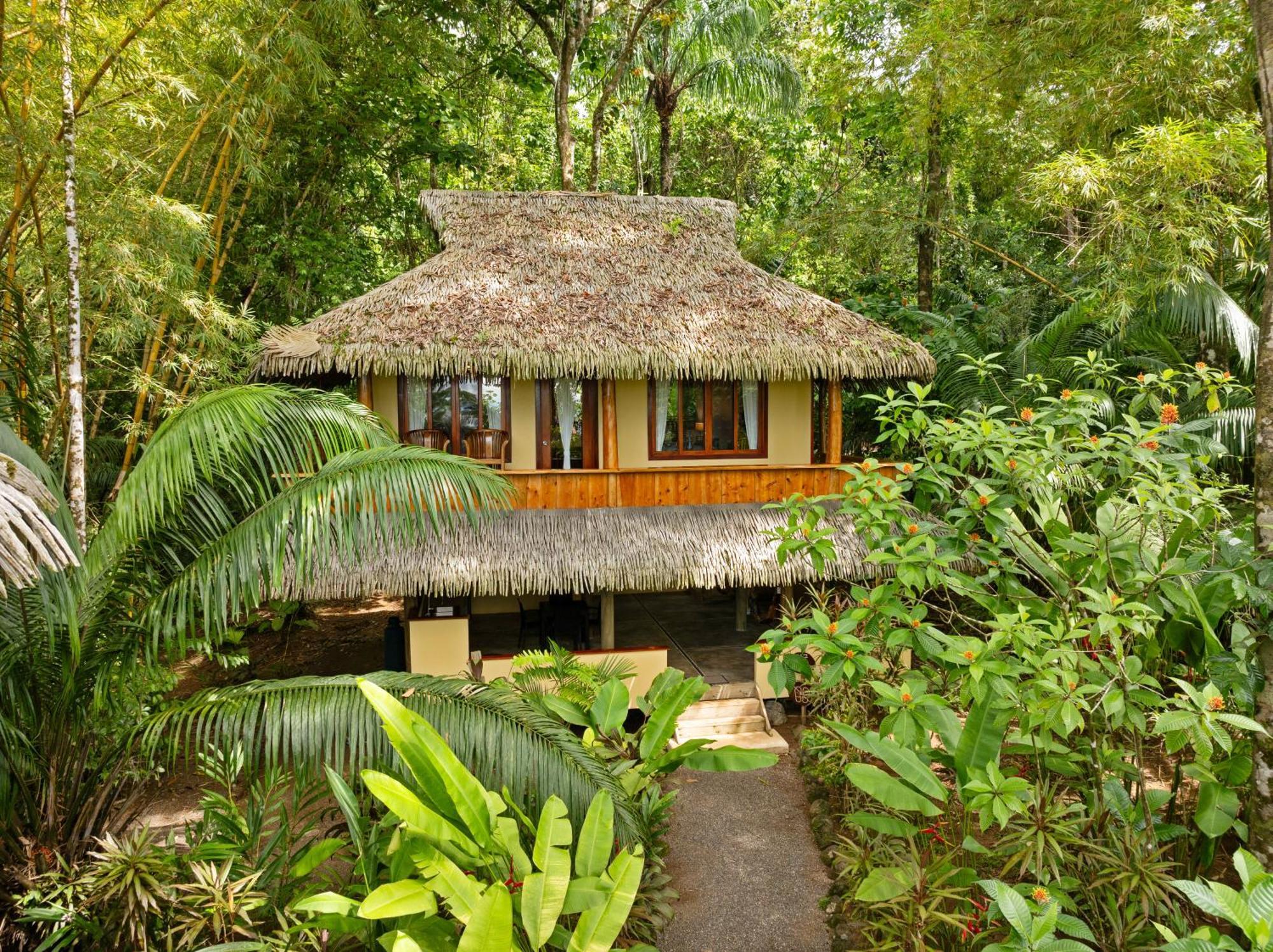 Copa De Arbol Beach & Rainforest Resort Drakes Bay Rom bilde