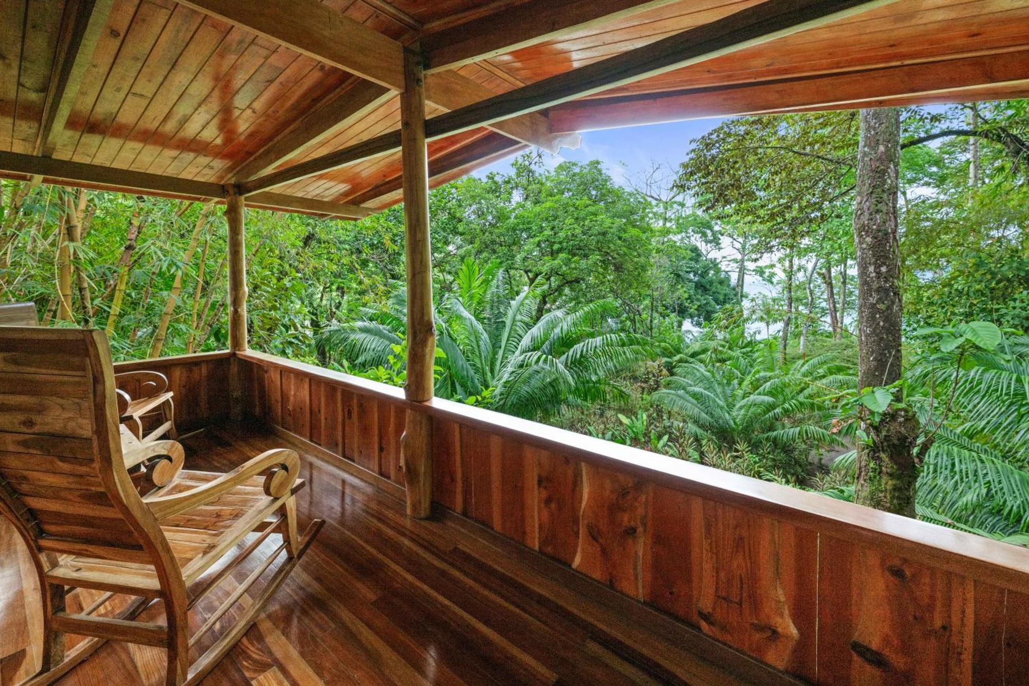 Copa De Arbol Beach & Rainforest Resort Drakes Bay Rom bilde