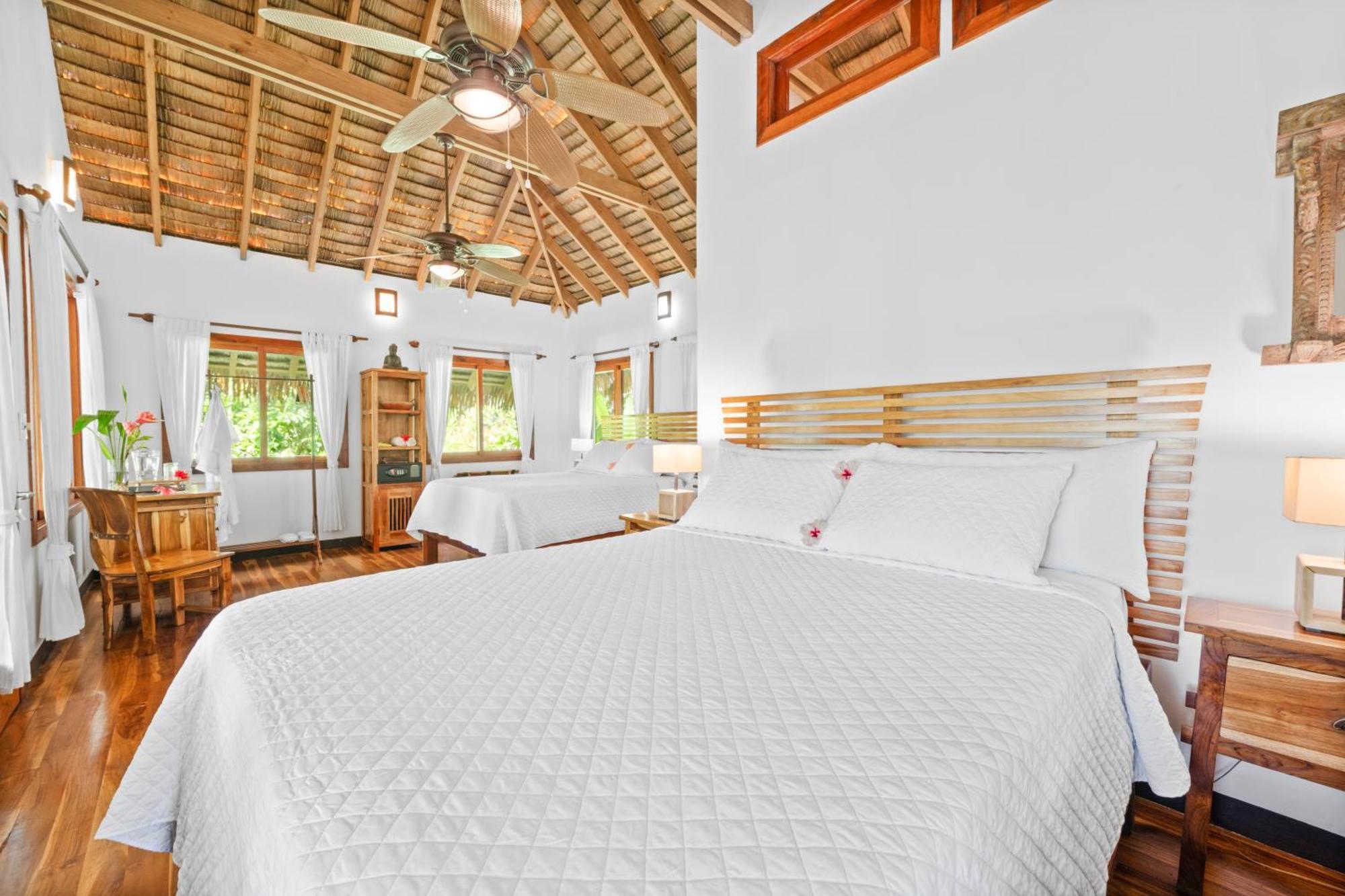 Copa De Arbol Beach & Rainforest Resort Drakes Bay Rom bilde