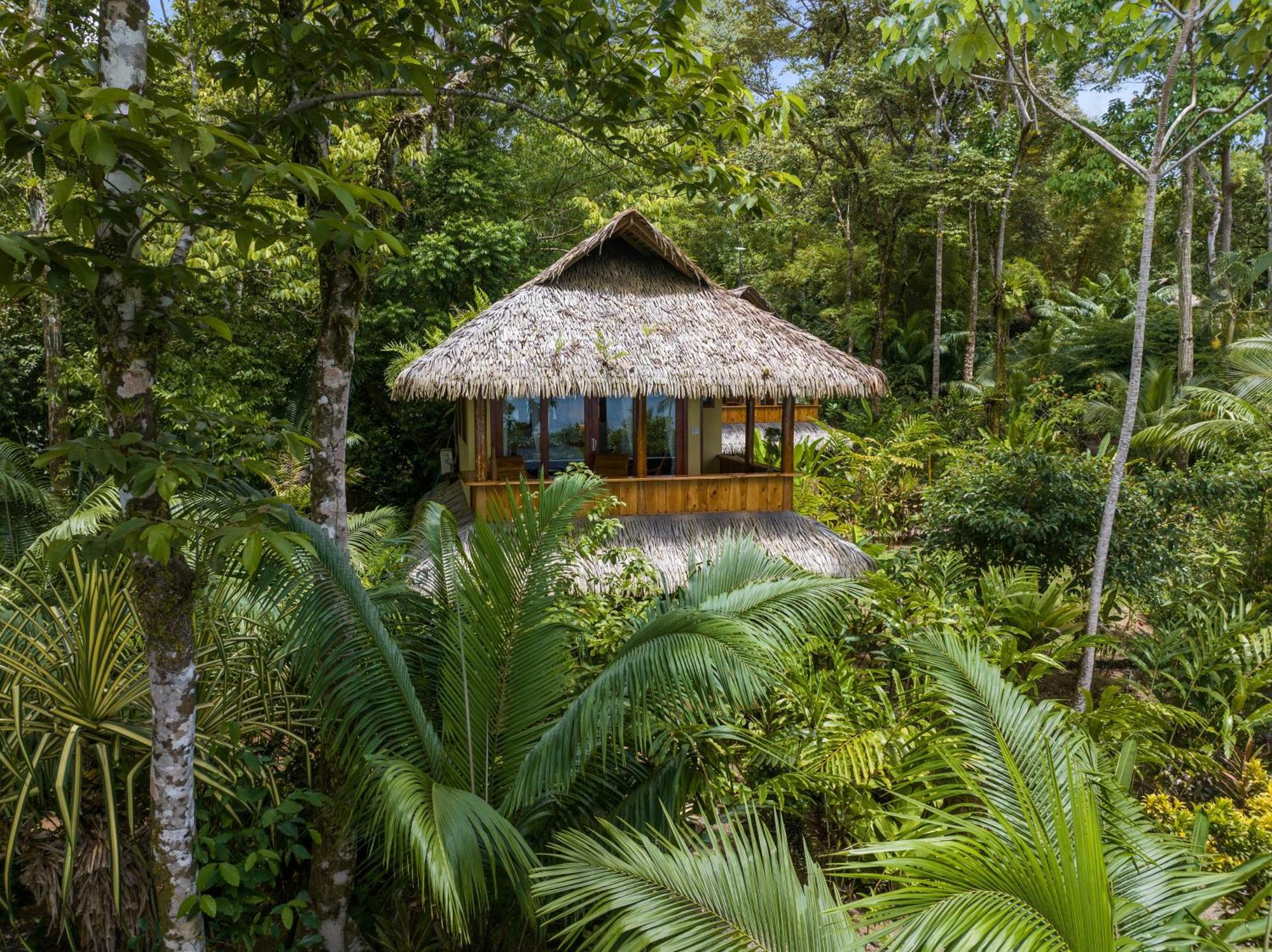 Copa De Arbol Beach & Rainforest Resort Drakes Bay Rom bilde
